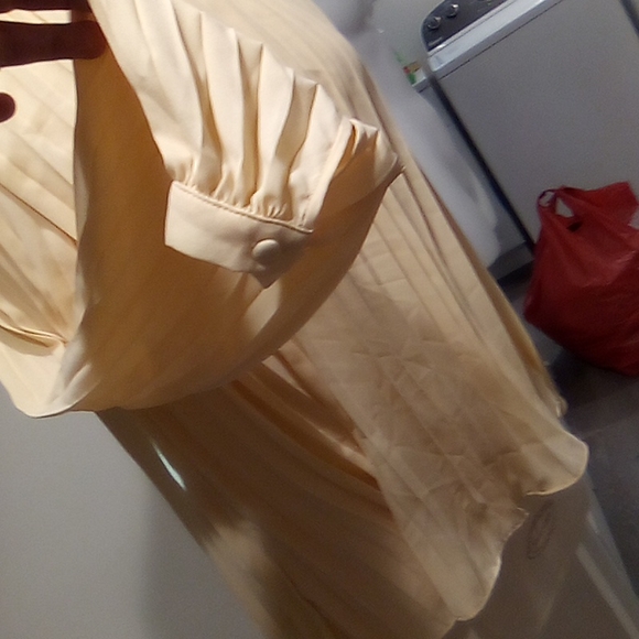 Pleated  Accordion Pleats Style Swing Top - Picture 4 of 16